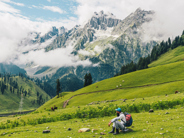 Tour Operator in Srinagar