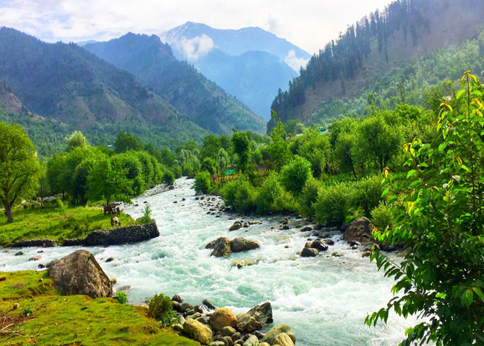 Travel Services Jammu