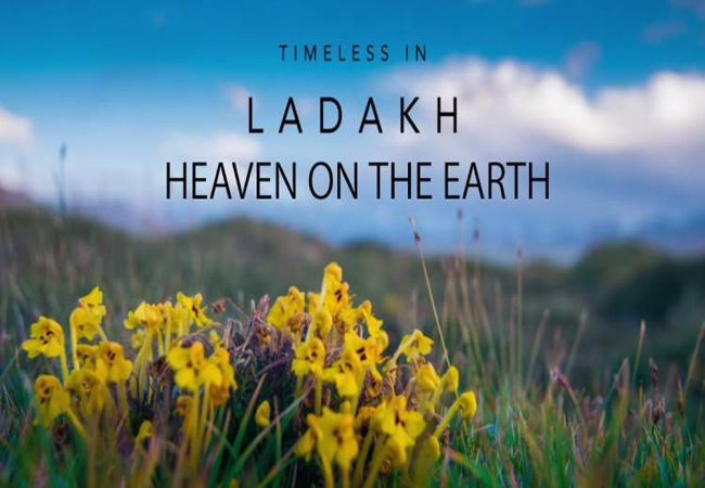 Best Travel Agency in Manali