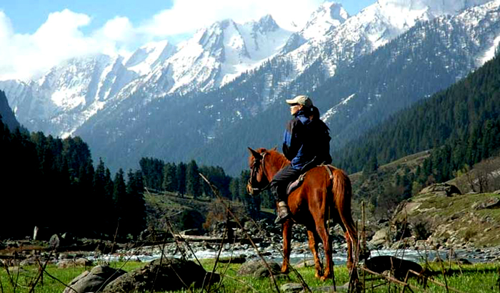 Jammu Taxi Service