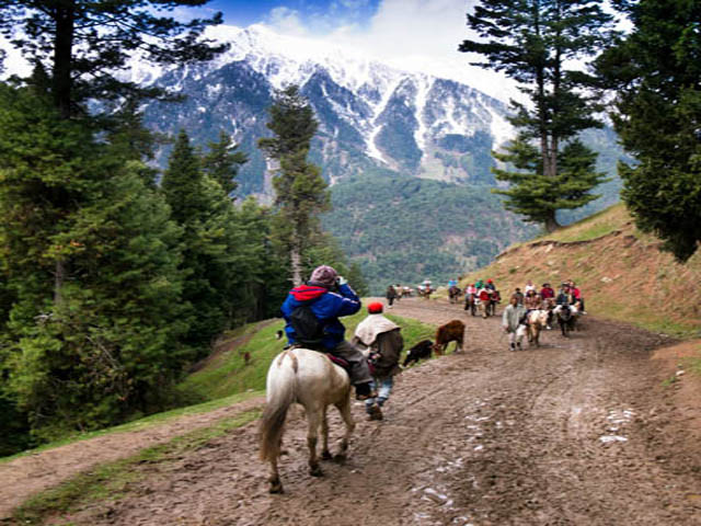 Taxi Stand in Katra