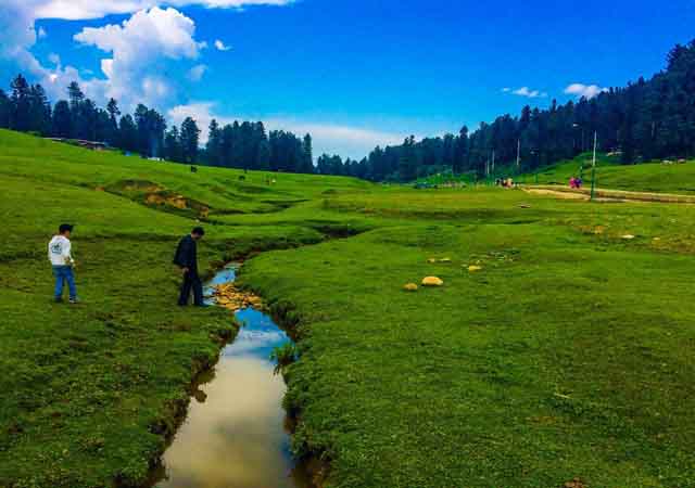 Srinagar Airport Taxi Service 